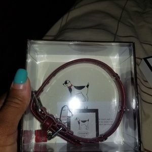 Authentic Coach dog collar